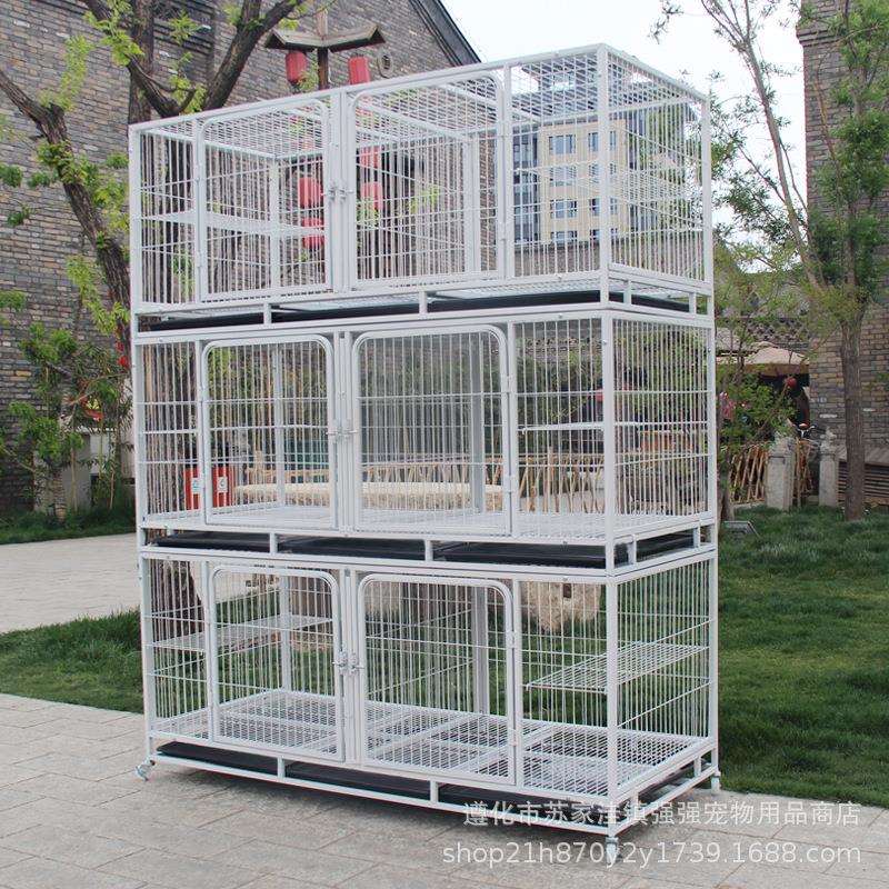可加高款繁殖笼猫屋猫舍宠物垫展示笼可同时饲养多只小动物带隔断