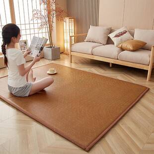 凉新款席地垫夏季厅铺卧室夏天日式席地儿童地毯榻榻客米加厚爬藤