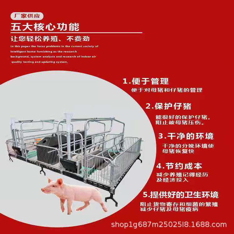 复合双体母猪产床 加厚镀锌钢管保育床 分娩产保两用一体母猪产床