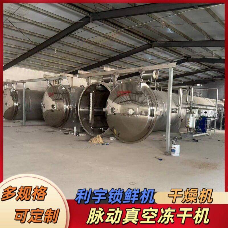 甘肃酒泉大型枸杞锁鲜机玫瑰花低温干燥机出口果蔬类冻干机