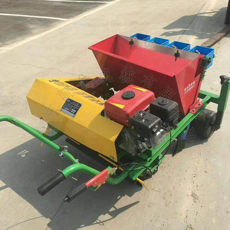 金乡大蒜播种机手扶汽油一体大蒜播种机大蒜种植机种植机械现货,玩具/童车/益智/积木/模型,毛绒/玩偶/公仔/布艺类玩具,淘宝优惠券,粉丝福利购,淘宝优惠卷