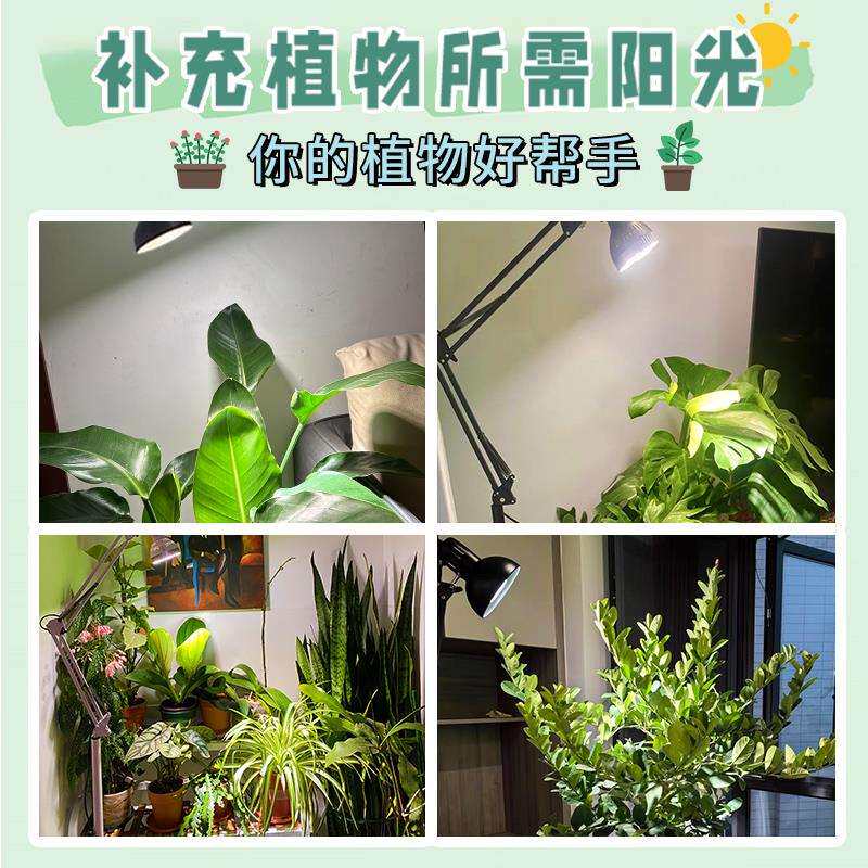≌落地式植物补光灯全光谱绿植龟背竹发财树吊兰花卉生长灯仿太阳