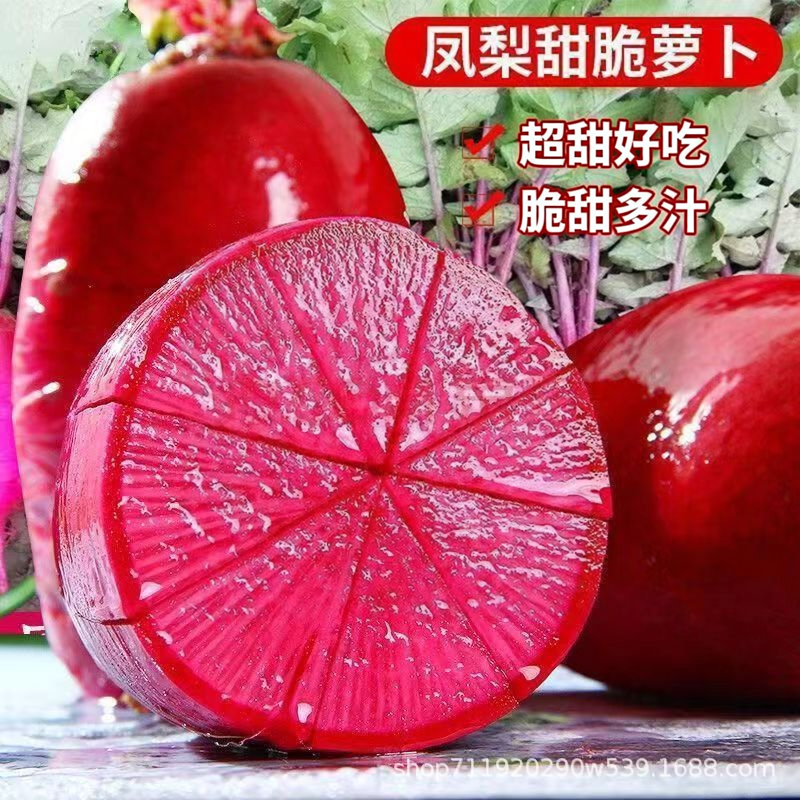 【下单立减50】凤梨水果萝卜凤梨萝卜阳台菜园庭院可萝卜种子WJ