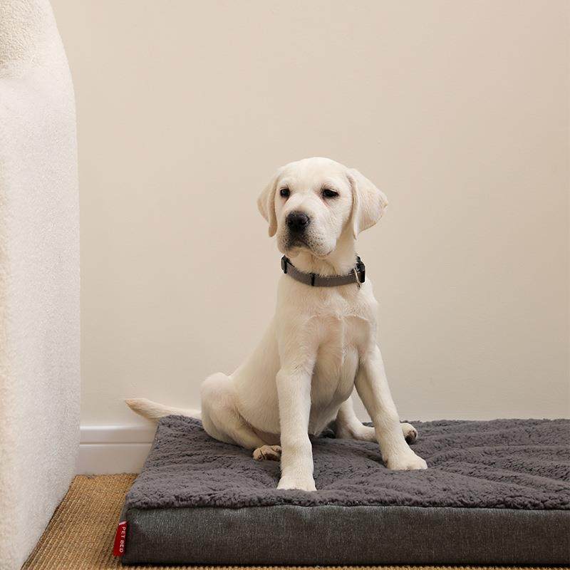 跨境四季亚麻布防水可拆洗狗窝猫中大型狗笼保暖宠物垫宠物床,电子元器件市场,其它元器件,淘宝优惠券,粉丝福利购,淘宝优惠卷