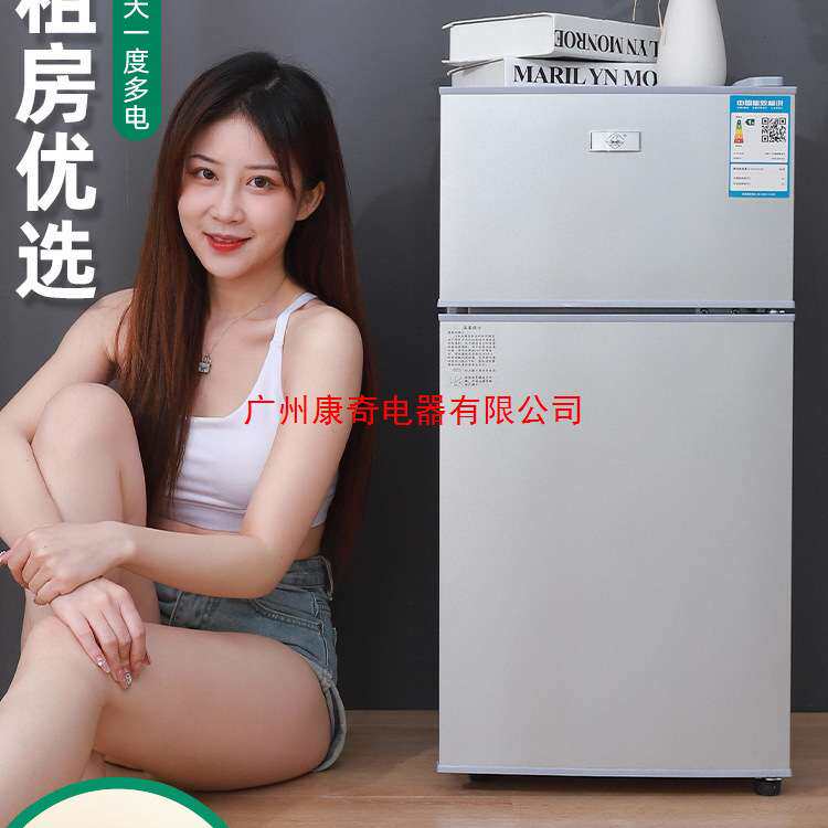 小冰箱家用小型宿舍出租房冷冻冷藏迷你双开门电冰箱节能省电直冷