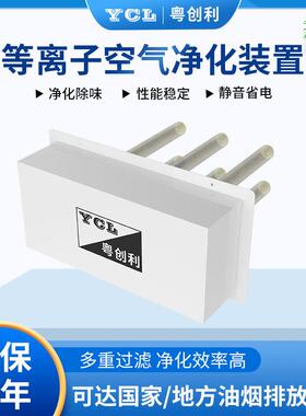 等离子空气净化装置卧室厨房厕所空气净化器杀毒灭菌净化设备
