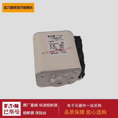 熔断器170M6498 170M6499 170M6500 170M6501 170M3488 170M3489