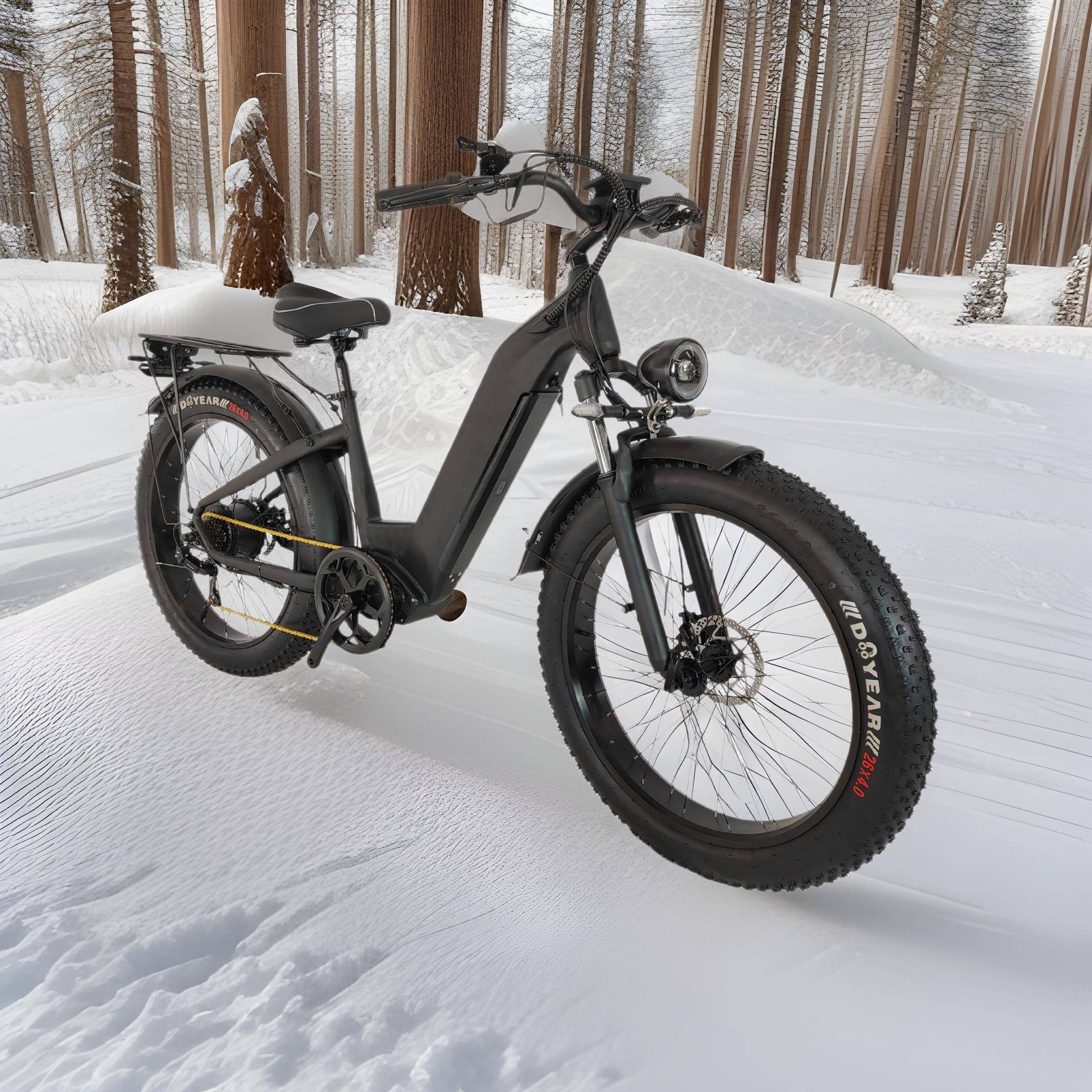 双驱雪地电动自行车假中置双驱电动自行车雪地电动自行车设计