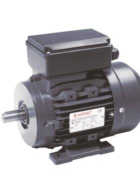 ECHTOP特波出口欧洲IEC标准铝壳电机欧盟CE/EAC认证ML711-4P