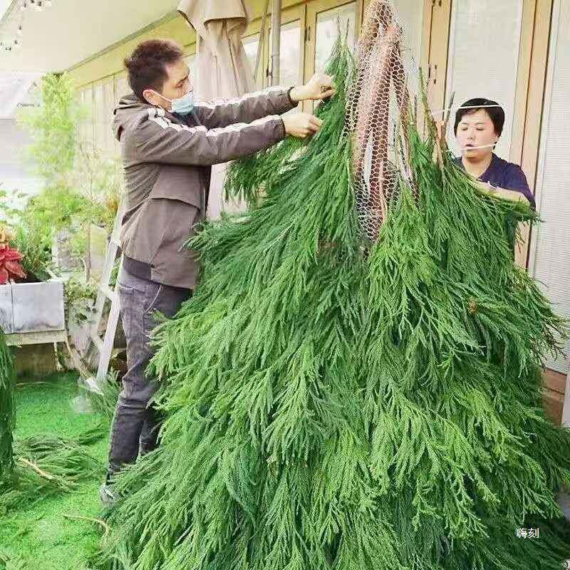 实木圣树树诞诞10065193枝框架支架子广户外场商场diy圣节装饰品
