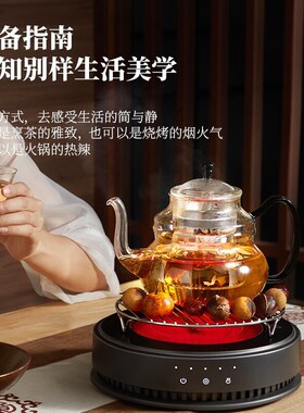 德茗堂电陶炉煮茶壶四代qPlus家用玻璃煮茶器大功率烧水煮茶炉套