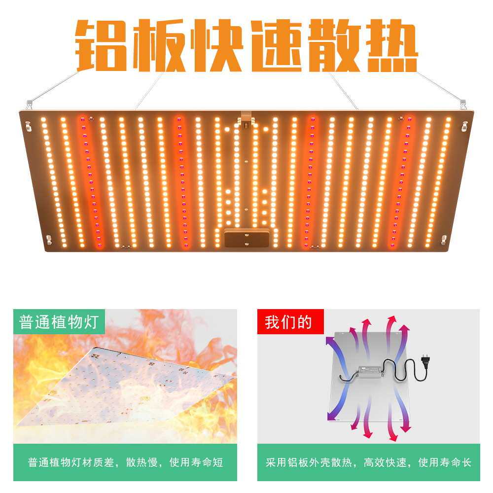 谦润照明LED量子植物灯全光谱户外种植灯温室育苗多肉植物补光灯