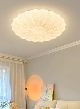 中山工厂直销极简贝壳吸顶灯简约现代南瓜法式led阳台入户玄关灯