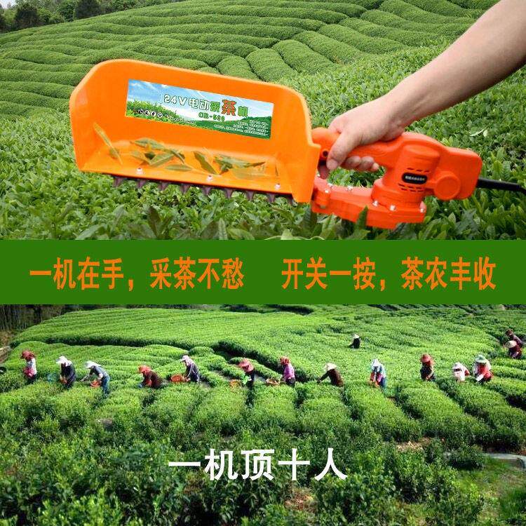 无刷电你动采茶机单人便携小型迷修剪机篱充电式式绿机茶TW546416