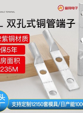 定制CL-2H双孔新能源铜管端子 过大电流变压器SC240-12双孔铜鼻子