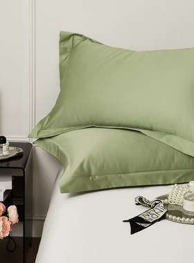 绿色高支高密度100S长绒棉单品枕套枕头套48x74cm一对高级感酒店
