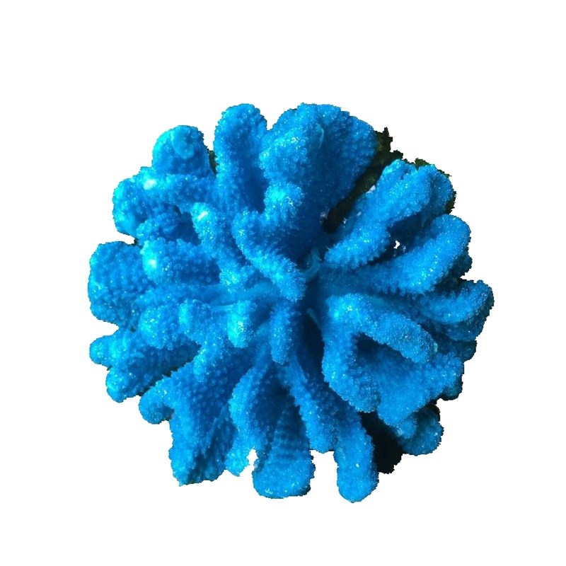 简约现代摆设树脂仿真珊瑚客厅软装配饰桌面书柜海洋带底座摆件