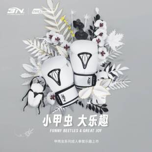 BN拳击手套泰拳男女搏击拳套成人10OZ12OZ散打训练专业沙袋专用