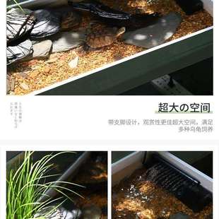 乌龟缸生态造景水陆缸别墅家用客厅养大乌龟特大号玻璃饲养箱