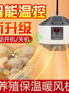 yut宠物取暖灯智能温控养殖暖风灯仔猪仓鼠小鸡小狗乌龟蜥蜴爬宠