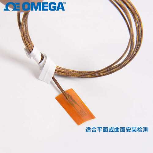 SA1-TH-44007-80-T SA1-RTD-4W-TA4F奥米佳带粘贴热电阻