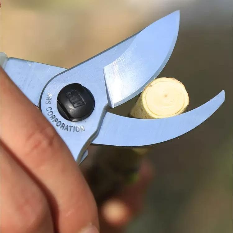 爱丽斯ARS修枝剪 130DX园艺剪修剪树枝果树园林工具树枝花艺剪刀