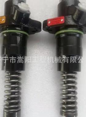 D8K发动机单体泵21689843