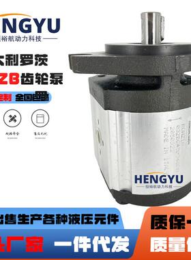 罗茨液压泵RONZIO齿轮泵03ZBG40L03ZBG45L油泵压力高03ZAG40Q64D