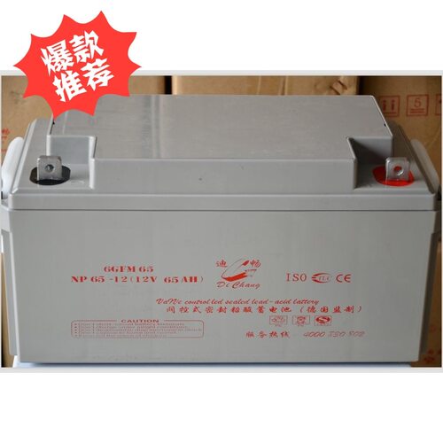 德国迪畅电池NP65-1212V6H铅酸免维护蓄电池ups质保三年