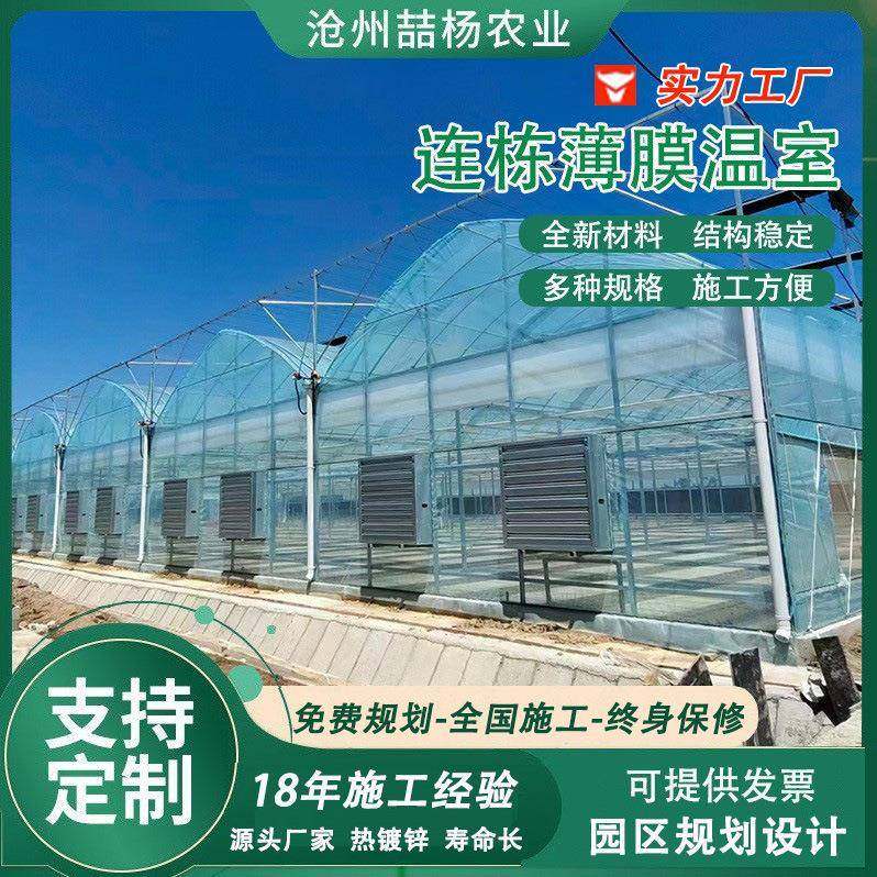 连栋薄膜温室蔬菜大棚骨架加工花卉种植大棚菜棚联动大棚,节庆用品/礼品,新娘配件,淘宝优惠券,粉丝福利购,淘宝优惠卷