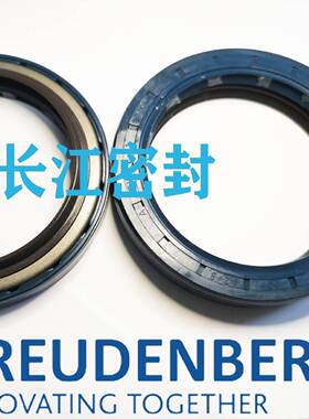 CFW进口BAU1SLX250-80-10/7A1B1FOFDRSSF50-74-8/11.5骨架油封