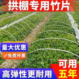 竹片菜棚搭棚子支架竹片竹坯子种菜简易小拱棚菜园蔬菜棚拱杆拱形