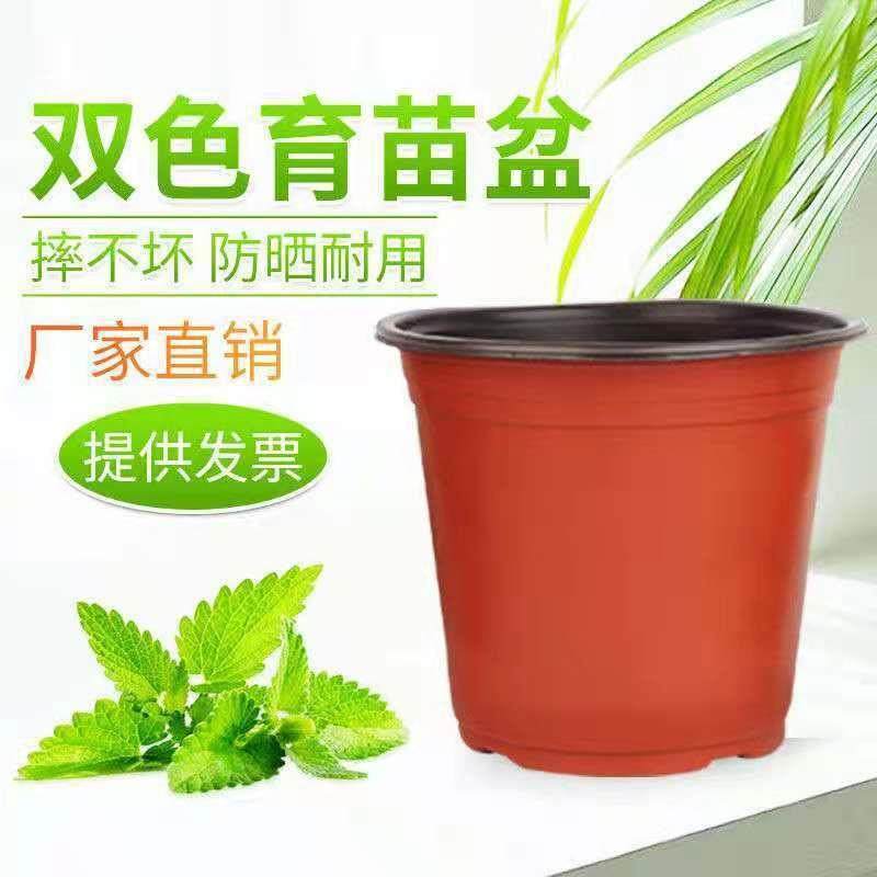 加厚双色盆育苗杯简易花盆育苗杯多肉叶插盆大棚营养钵育苗盆,玩具/童车/益智/积木/模型,毛绒/玩偶/公仔/布艺类玩具,淘宝优惠券,粉丝福利购,淘宝优惠卷