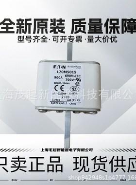 170M5062 170M5163 170M5015 170M5218 170M5213 巴斯曼熔断器