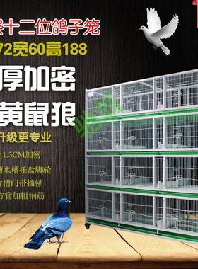yut四层鸽子笼鸽子配对笼铁笼多层鸽笼公棚观察笼加厚加密鸽子饲