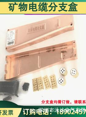 BTTZ电缆专用分支盒矿物绝缘电缆分支器