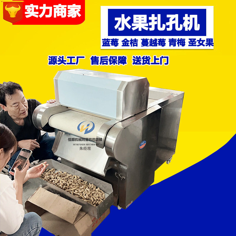 冰糖杨梅西梅果脯入味扎孔机 全自动连续式水果刺孔机 蓝莓扎孔机