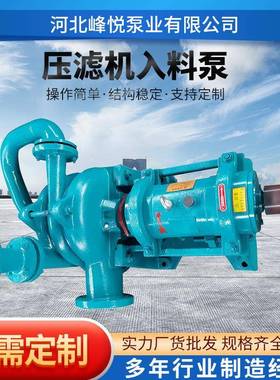 压滤机入料泵泥浆泵50ZJW-65SYA80ZJE100ZJW泥浆进料泵渣浆泵