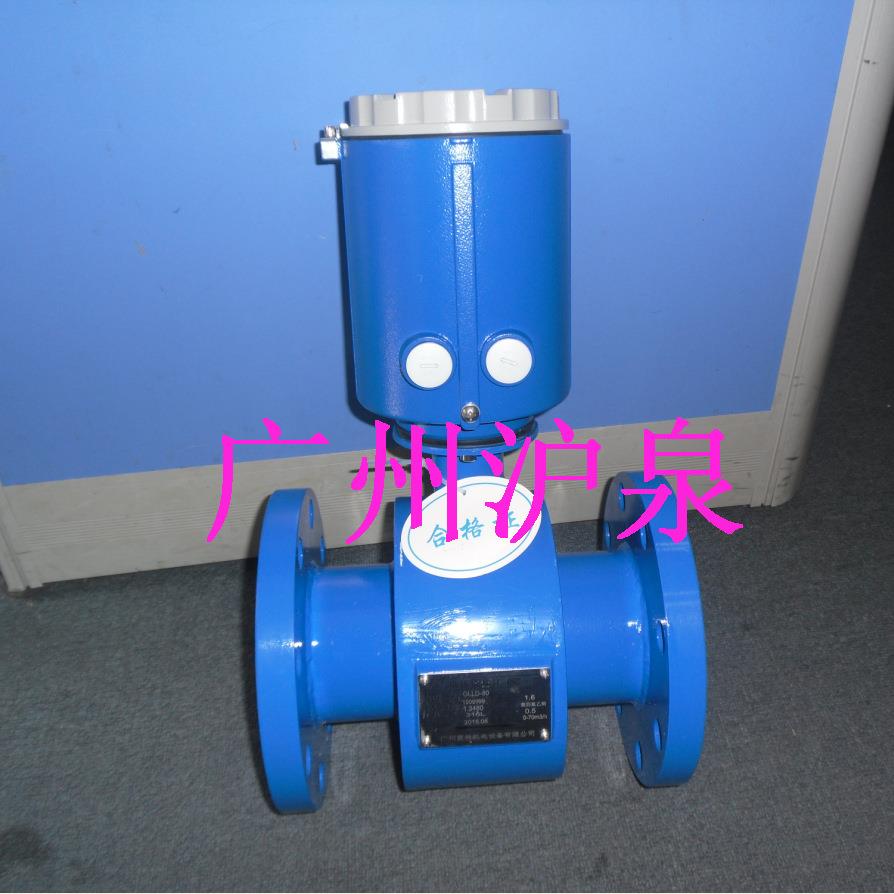 电池供电型流量计直读式电磁流量计污水/污泥流量计