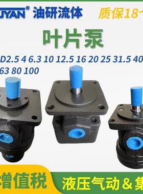 YB-D2.5液压4油泵6.3叶片泵101216202532YBD40506380100