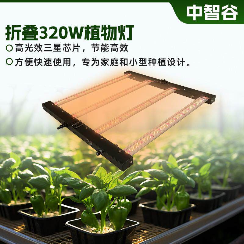 跨境北美育苗生长植物灯家庭式草莓LED植物生长灯花草植物补光灯
