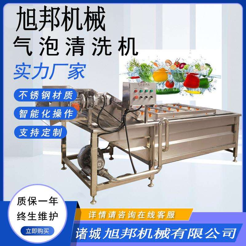 鲜蒜高压气泡清洗机 粽叶薄荷叶涡流清洗设备 蔬菜鼓泡翻浪洗菜机