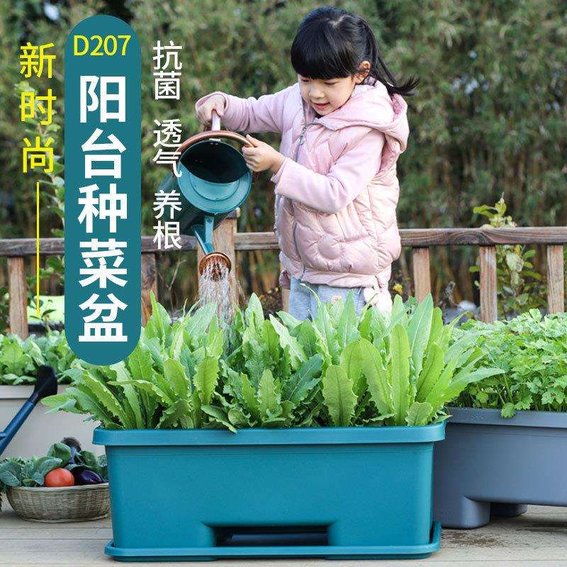 花盆种菜塑料方形家庭长方盆盆栽盆草莓长方形长条栽种神暖幸商行