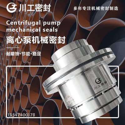 双端面泵 ACP200-400.5S BS60ACP300-400.3F 离心泵机械密封厂家