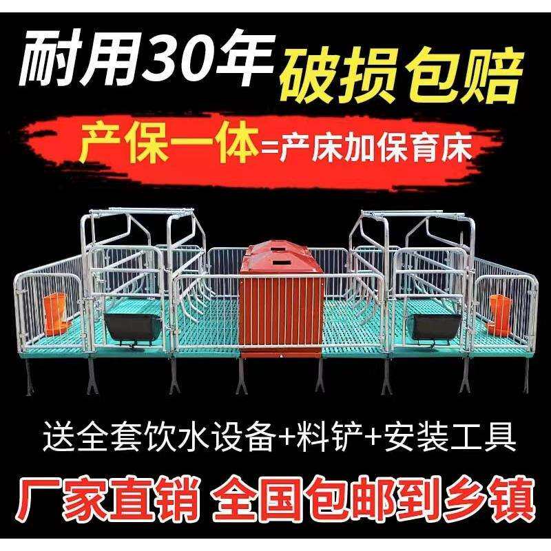 母猪产床双产保一体两用保育床仔猪分娩养殖设备母猪栏猪笼单产床