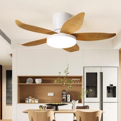 吸顶风扇灯2025新款客厅餐厅卧室家用吊扇灯带电扇一体静音吊灯