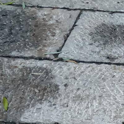 东青石板台阶石厂家供应广路面青山石板砖文504化石錾道面青石场