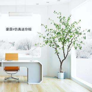 橄榄树仿真迷你榕室内装饰落地摆件景观假绿植工艺品