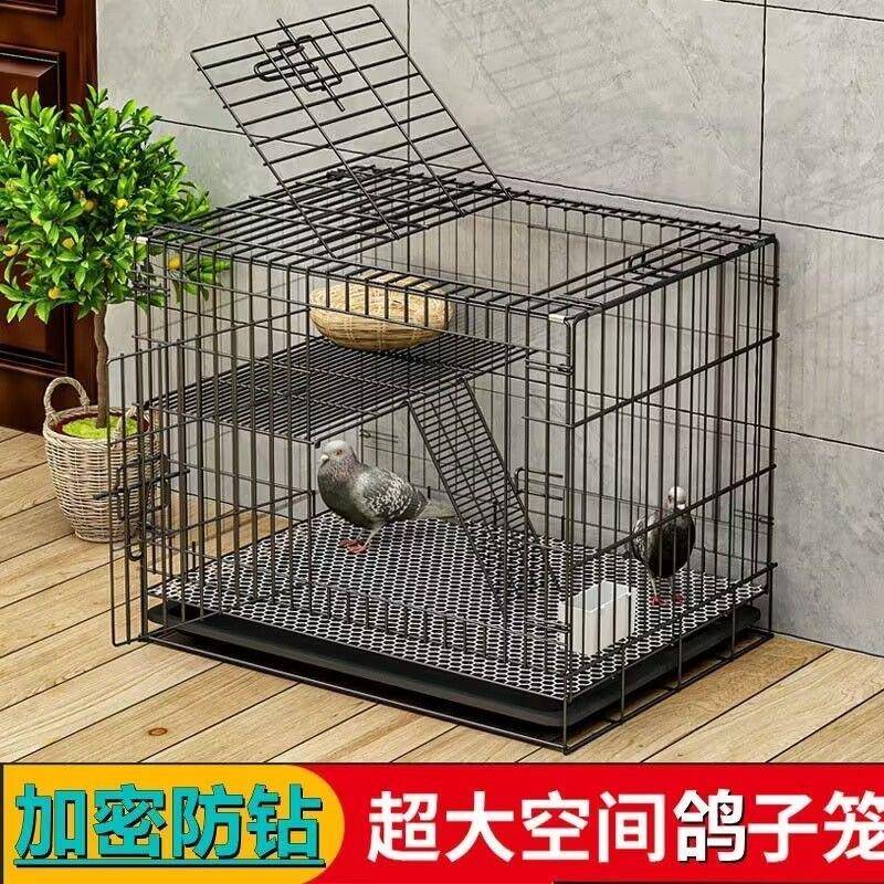 鸽子笼加粗加密鸽子笼大号特大号鸽子用品鸽子配对笼养殖笼子金属
