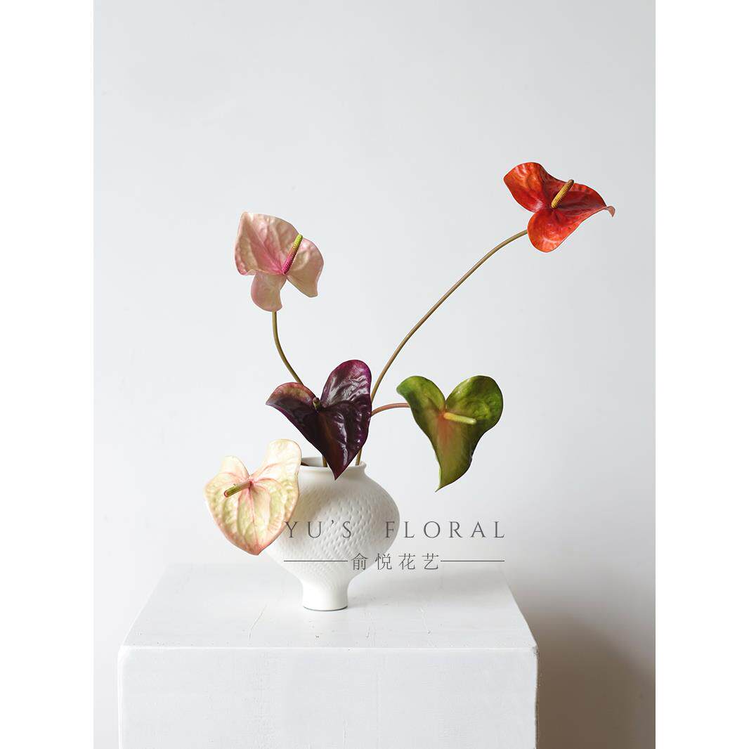 仿真花红掌德纳里掌高端小众单支假花摆件装饰花艺造景摄影道具